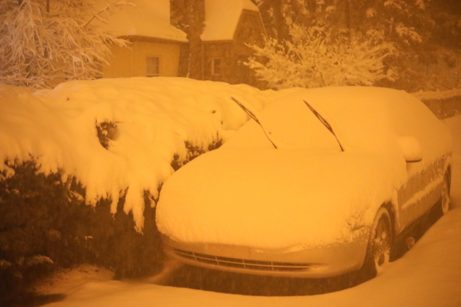 Black Friday snow